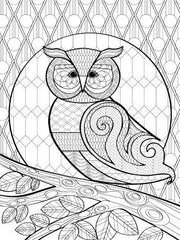 Load image into Gallery viewer, Color-A-Puzzle - Owl
